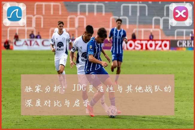 独家分析：JDG灵活性与其他战队的深度对比与启示