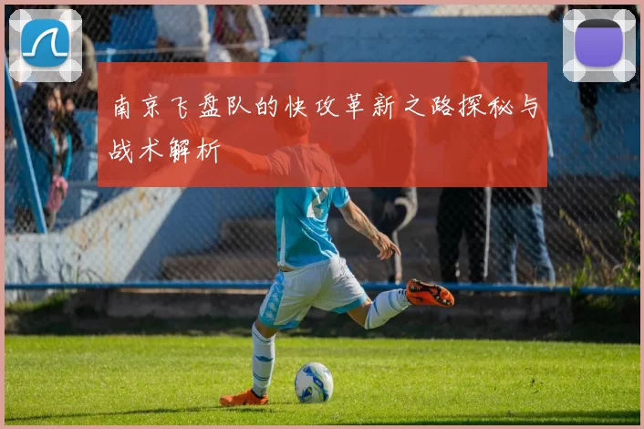 南京飞盘队的快攻革新之路探秘与战术解析