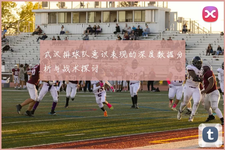武汉排球队意识表现的深度数据分析与战术探讨