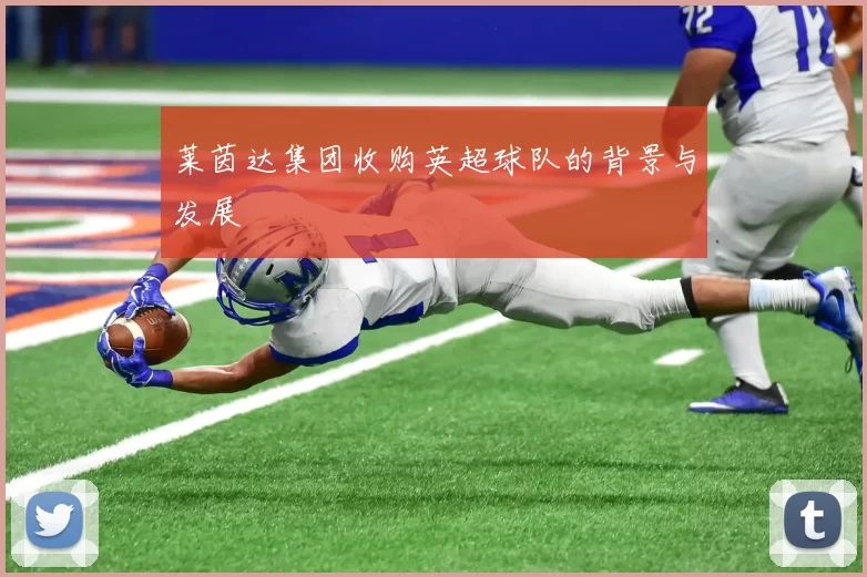 莱茵达集团收购英超球队的背景与发展
