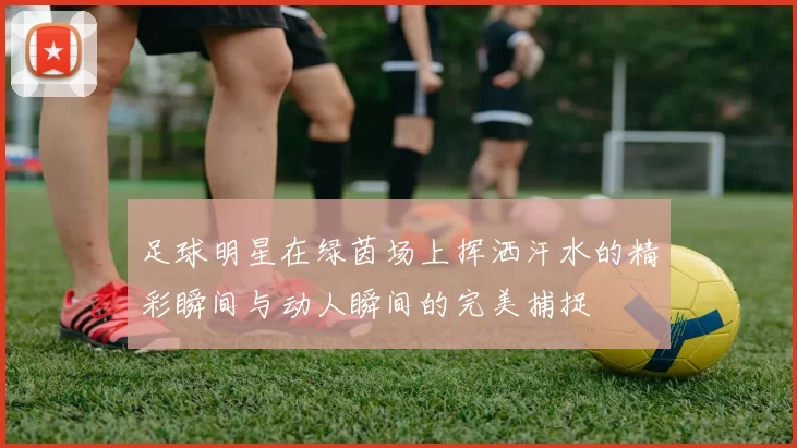 足球明星在绿茵场上挥洒汗水的精彩瞬间与动人瞬间的完美捕捉