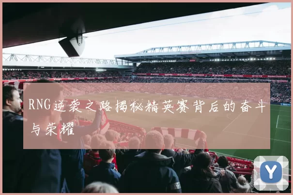 RNG逆袭之路揭秘精英赛背后的奋斗与荣耀