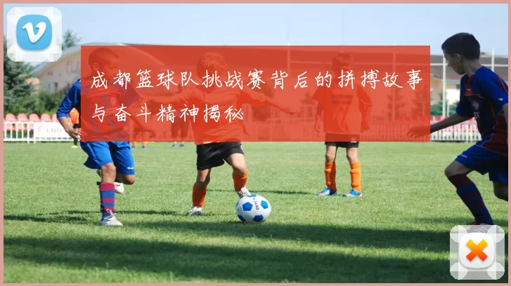 成都篮球队挑战赛背后的拼搏故事与奋斗精神揭秘