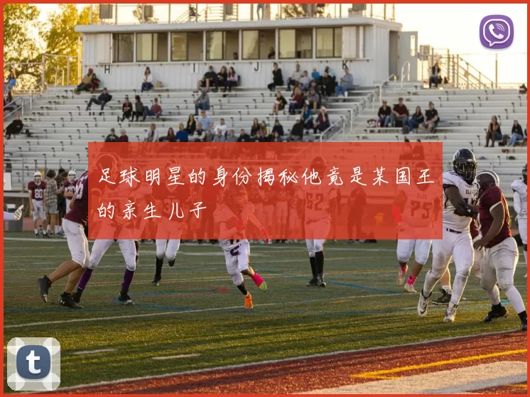 足球明星的身份揭秘他竟是某国王的亲生儿子