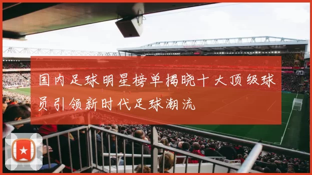 国内足球明星榜单揭晓十大顶级球员引领新时代足球潮流
