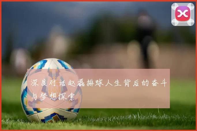 深度对话赵磊排球人生背后的奋斗与梦想探索