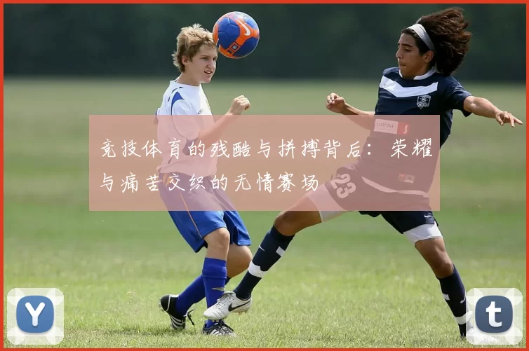 竞技体育的残酷与拼搏背后：荣耀与痛苦交织的无情赛场