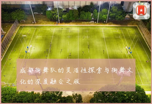 成都街舞队的灵活性探索与街舞文化的深度融合之旅