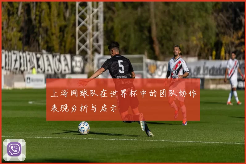 上海网球队在世界杯中的团队协作表现分析与启示
