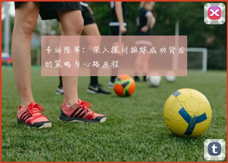 专访陈军：深入探讨排球成功背后的策略与心路历程