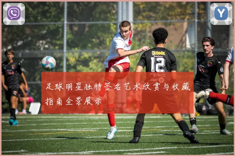 足球明星独特签名艺术欣赏与收藏指南全景展示
