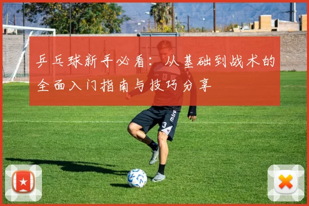 乒乓球新手必看：从基础到战术的全面入门指南与技巧分享